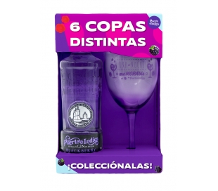 GINEBRA BLACKBERRY PUERTO DE INDIAS 70 CL.+COPA GRATIS