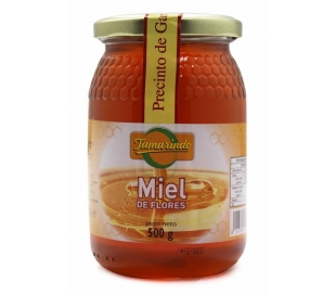 MIEL DE FLORES TAMARINDO 500 GR.