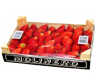 fruteria-fresas-1000-grs