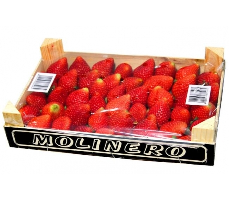 fruteria-fresas-1000-grs