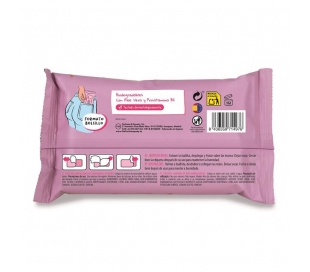 TOALLITAS HIDROALCOHOLICAS FRESA NATA THE FRUIT COMPANY 15 UN.