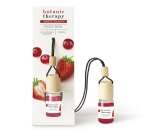 AMBIENTADOR COCHE FRUTOS ROJOS BOTANIC THERAPY 1UN