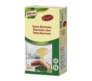 salsa-bearnesa-brik-garde-d-or-knorr-1000-ml