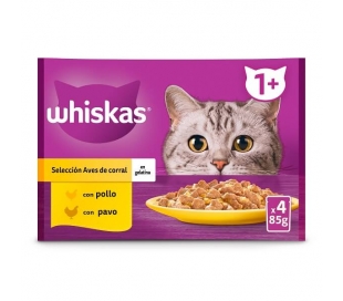 comida-gatos-con-pollo-1ano-whiskas-pack-4x85-gr