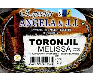 INFUSION TORONJIL ANGELA 12 GR.