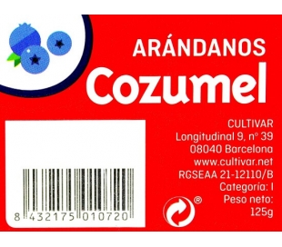 fruteria-arandanos-125-grs