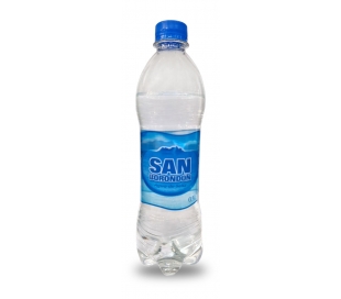 AGUA CON GAS SAN BORONDON 500 ML.