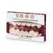 polvorones-almendra-con-pepitas-chocolate-1880-310-gr polvorones-almendra-con-pepitas-chocolate-1880-310-gr