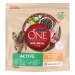 comida-perro-my-dog-is-active-purina-one-15-kgs