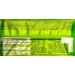 canutillo-avellana-happy-swing-150-gr