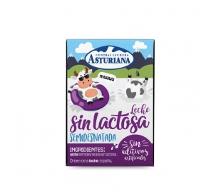 LECHE SEMIDESNATADA ASTURIANA 200 ML.BRIK