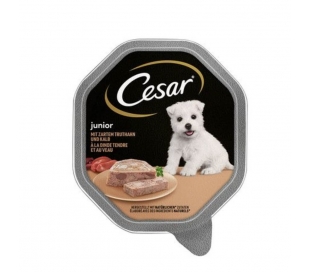 comida-perro-con-pavo-tierno-y-ternera-cesar-150-grtarrina