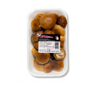 VERDURA ENVASADA SETA SHIITAKE . 250 GR.