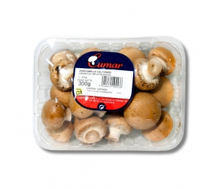 verdura-envasada-champinon-portobello-200-gr