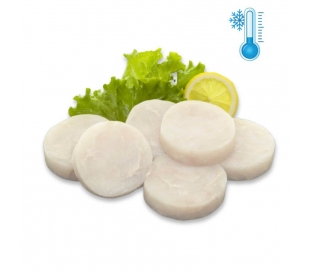 MERLUZA EN MEDALLON ULTRACONGELADA NORIBERICA 750 GR.