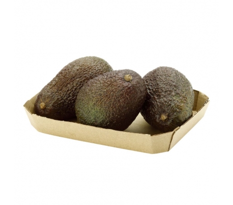 FRUTERIA ENVASADA AGUACATE HASS CANARIAS - FAST 450.GR.