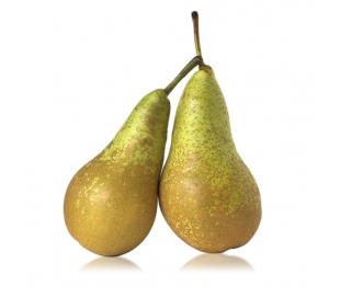 fruteria-pera-conferencia-unidad