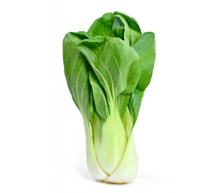 verdura-envasada-pak-choi-bolsa-320-gr