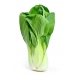 verdura-envasada-pak-choi-bolsa-320-gr