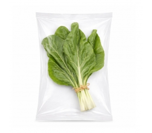 VERDURA ENVASADA ACELGA ARICO FRUITS 300 GRS.