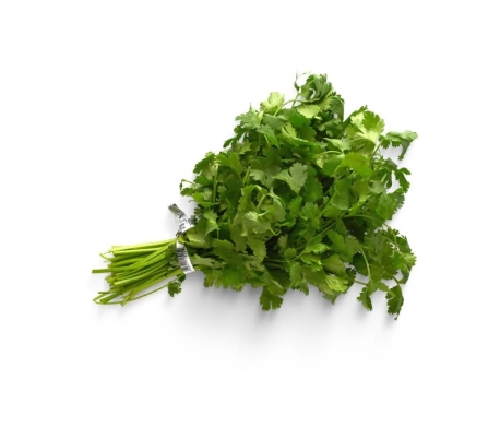 HIERBAS FRESCAS CILANTRO GMR 150 GR.