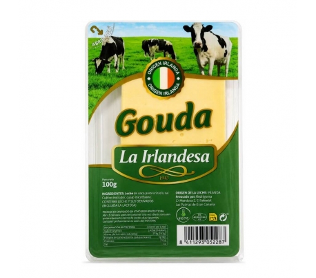 queso-gouda-la-irlandesa-100-grlonchas