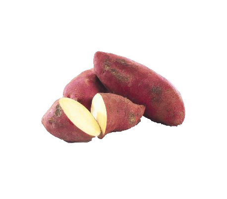 FRUTERIA BATATA ROJA LANZARO. . UNIDAD FRUTERIA BATATA ROJA LANZARO. . UNIDAD