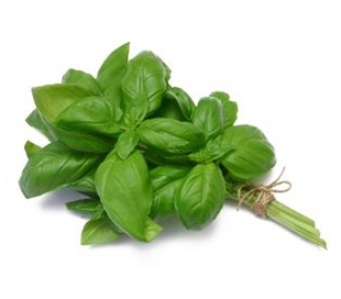 HIERBAS FRESCAS ALBAHACA BETHENALVA C.-50/60 GR.