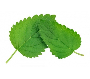 fruteria-toronjil-50-grs