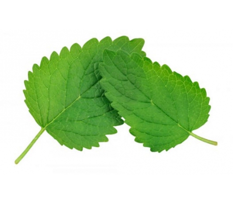 fruteria-toronjil-50-grs