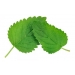 fruteria-toronjil-50-grs