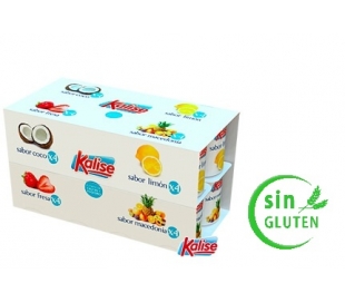 YOGUR SABORES COCO FRESA KALISE PACK 16X125 GRS.