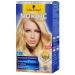 ACLARANTE INTENSIVO RUBIO MECHAS LUM. NORDIC 60 ML.