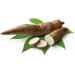 FRUTERIA YUCA . UNIDAD