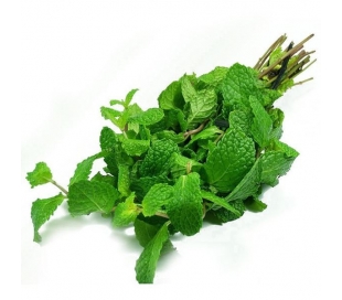 HIERBAS FRESCAS HIERBA HUERTO GMR C.-50/60GR