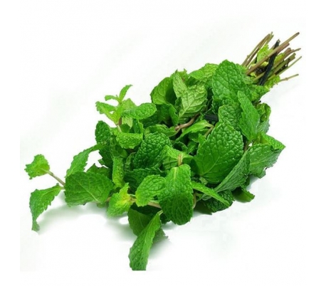 HIERBAS FRESCAS HIERBA HUERTO GMR C.-50/60GR