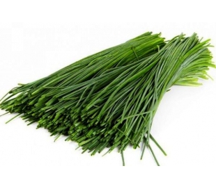 HIERBAS FRESCAS CEBOLLINO BETHENALVA C.-40/60GR