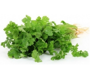 HIERBAS FRESCAS PEREJIL GMR c.-40/60 gr