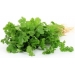 HIERBAS FRESCAS PEREJIL GMR c.-40/60 gr