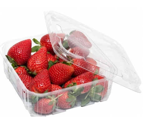 FRUTERIA ENVASADA FRESON IZAÑA 500 GR.