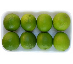 FRUTERIA ENVASADA LIMA FAST 500 GR.