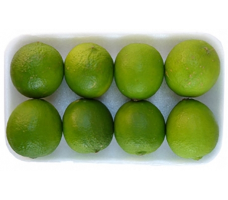 FRUTERIA ENVASADA LIMA FAST 500 GR.