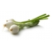 FRUTERIA CEBOLLETAS . 500 GRS.