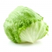 VERDURA ENVASADA LECHUGA ICEBERG LECHUGAS ROSARIO 1 UN.
