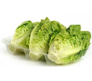 VERDURA ENVASADA LECHUGA COGOLLOS IZAÑA 1 UN.