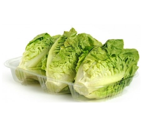 VERDURA ENVASADA LECHUGA COGOLLOS IZAÑA 1 UN.