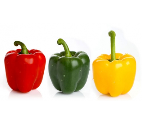 VERDURA ENVASADA PIMIENTO TRICOLOR BJ RIHORTALI 500 GR.