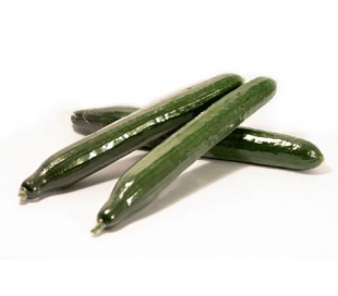 FRUTERIA PEPINO HOLANDEZ UND. RIHORTALI 300/400 GR. APROXIMADO