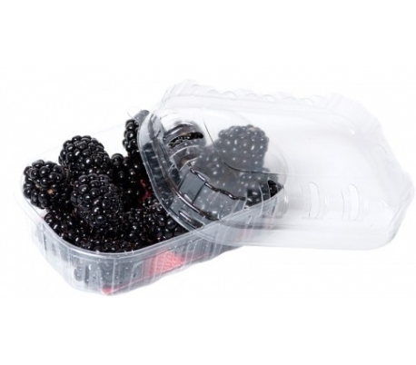 FRUTERIA MORAS . 125 GRS.