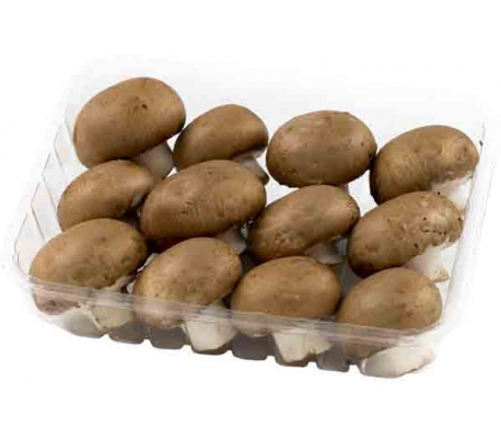 fruteria-champinoportobello-250-grs